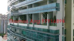 Soleil @ Sinaran (D11), Condominium #88391222